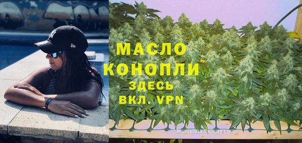 эйфоретик Новодвинск