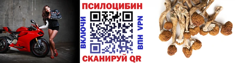 Галлюциногенные грибы GOLDEN TEACHER Новоульяновск